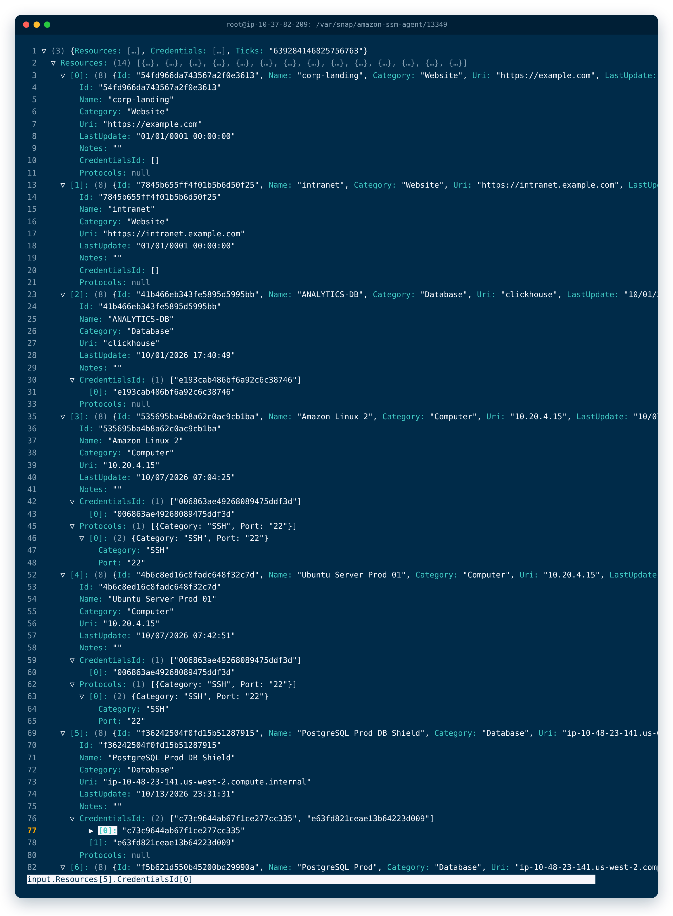 Backup viewer with Resources and Credentials