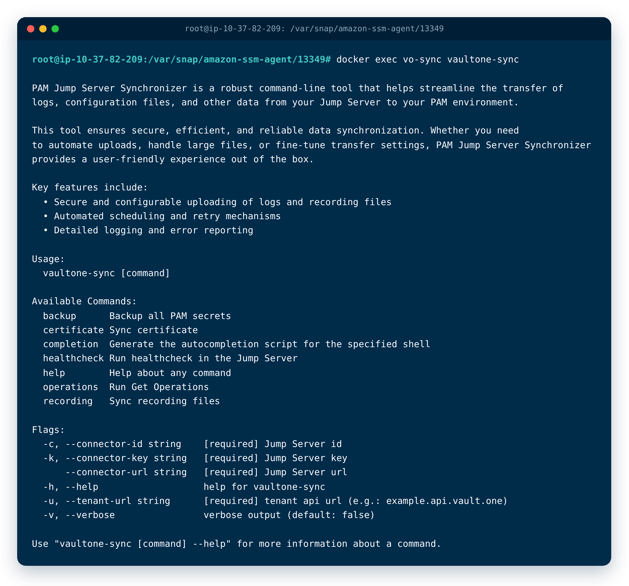 vaultone-sync CLI help