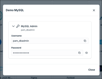 User Portal view secret window