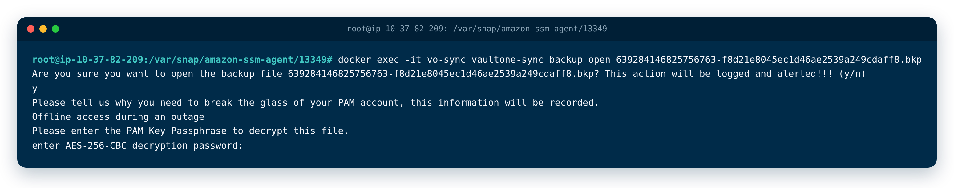 Open a backup file with vaultone-sync